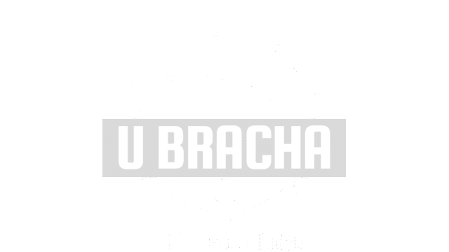 Wypożyczalnia Sprzętu Wodnego na jeziorze Pile w Bornem Sulinowie